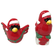 Pfaltzgraff Winterberry Cardinals Ceramic Salt-and-Pepper Set