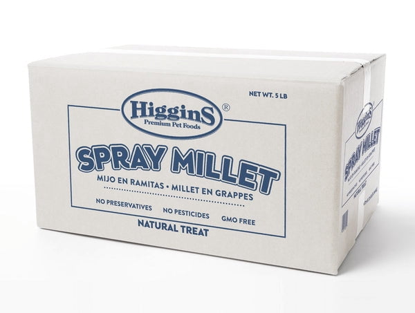 Higgins Spray Millet Bird Treats Non-GMO Natural Foraging All Birds 5lbs.