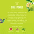 thumbnail image 4 of Caldrea Laundry Detergent, Ginger Pomelo, 64 Oz, 4 of 7