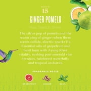 Caldrea Laundry Detergent, Ginger Pomelo, 64 Oz
