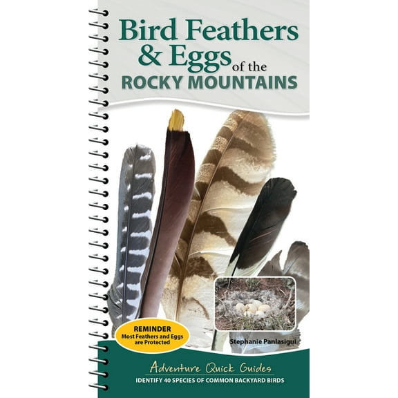 Adventure Quick Guides Bird Feathers & Eggs of the Rocky Mountains: Identify 40 Species of Common Backyard Birds, (Spiral-Bound)