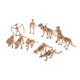 thumbnail image 3 of 12pcs Various Plastic Dinosaurs Fossil Skeleton Dino Figures Kids Toy Gift, 3 of 6