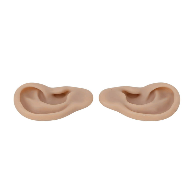 Baluue Ear Model Silicone Tunnels for Ears Silicone Earrings Ear Piercing  Earrings Simulation Ear Model Earrings Backs for Studs Earwax Removal  Silica Gel Silicone Ear Mold Fake Ear Model