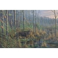 thumbnail image 2 of Goebel, Wilhelm 24x17 White Modern Wood Framed Museum Art Print Titled - Closing The Gap-Maryland Sika Deer, 2 of 4