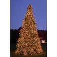 thumbnail image 2 of Northlight Commercial Pre-Lit Olympia Pine Artificial Tower Christmas Tree - 24' -  Warm White LED, 2 of 5
