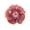 Night Runner, variant on Hibiscus Cajun Color Live Plant Tropical Flowering Shrub Blue Jean Baby Starter Plant, Hibiscus Hybrid for Garden or Patio Exotic Blue Jean Baby Flowers, Perennial Hibiscus Starter Plant