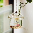 thumbnail image 4 of 2x Mushroom-shaped Hanging Glass Planter Vase Rumble Fish Tank Terrarium Container Home Garden Deco, 4 of 5