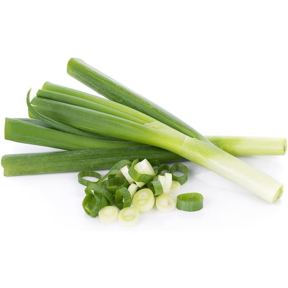 GSDWIUEW 500+ Evergreen Long White Bunching Onion Seeds Heirloom Green Onion Seeds for Home & Container Vegetable Plant in Canada