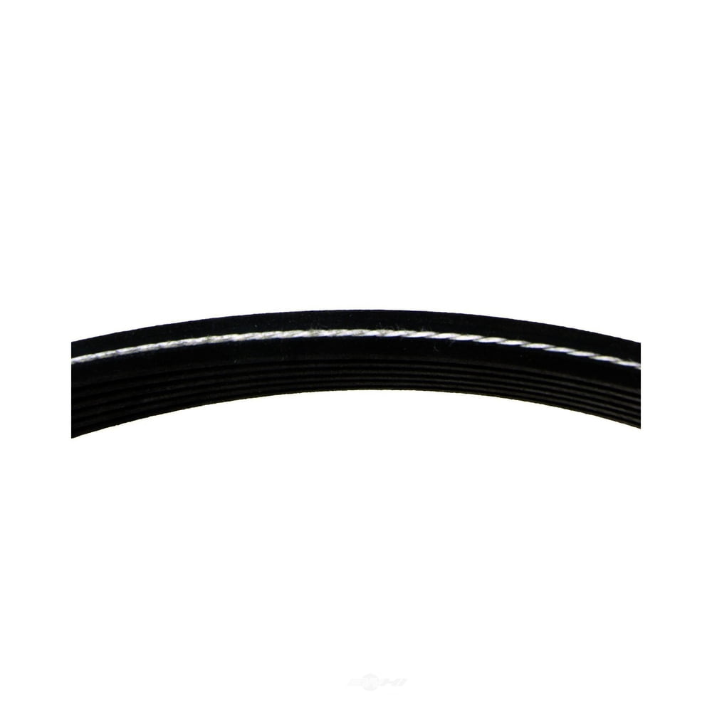 Continental Elite Poly-V Serpentine Belt – OE Style, Quiet Performance, Durable Fit For Multiple Vehicles