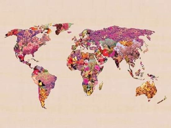 Our Wonderful World
