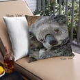 thumbnail image 1 of Ahgly Company Animals Koala Outdoor Throw Pillow, 18 inch by 18 inch, 1 of 6