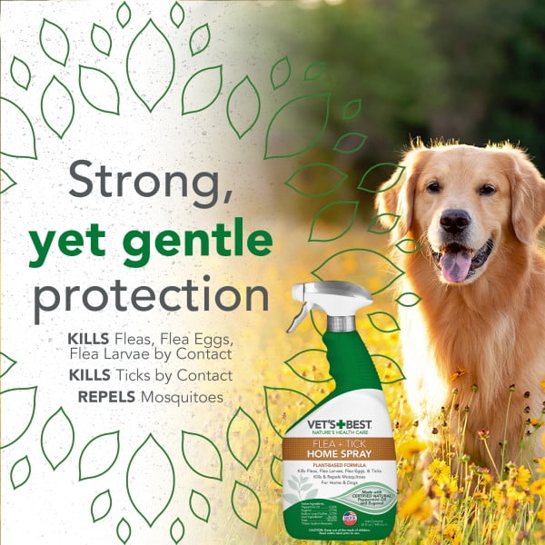 Most popular flea and hotsell tick treatment for dogs
