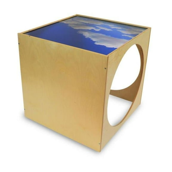Plexi Top Play House Cube - 29 x 30 x 29 in.