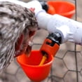 thumbnail image 3 of Fiudx Bebederos Automáticos para Pájaros, Juego de 10 Piezas, Plástico Duradero, Fácil de Instalar y Limpiar, Sistema de Suministro de Agua Dulce, para Granjas Avícolas, Tamaño 9 X 5,3 X 4 Cm, 3 of 3
