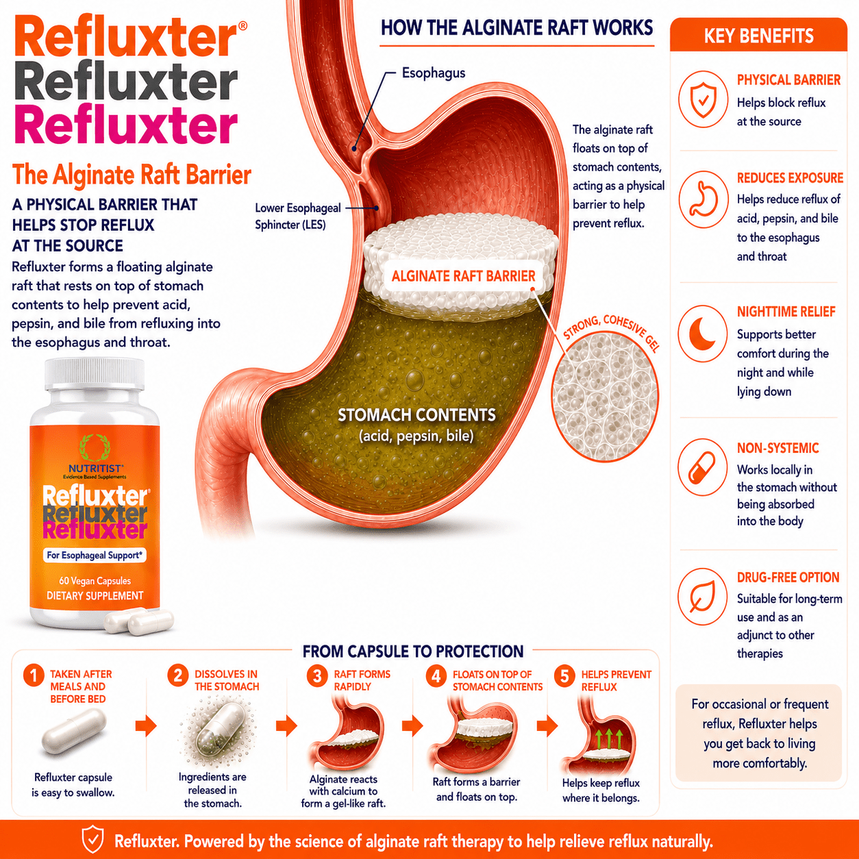 Nutritist Refluxter - Sodium Alginate Therapy for Acid Reflux, Heartburn, Gerd, Lpr, and Silent Reflux Relief. Zero Sugar and Preservatives. 60 Capsules.