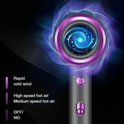 Professional Ionic Hair Dryer, Powerful 1600W Fast Drying Low Noise Blow Dryer with Concentrator Nozzle Diffuser Attachments for Home Salon Travel,ALCI Safety Plug