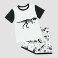thumbnail image 3 of Xudanell Toddler Boys Outfit Sets Summer 2 Piece Cotton Dinosaur Shirts and Shorts Set Multicolor, 3 of 4