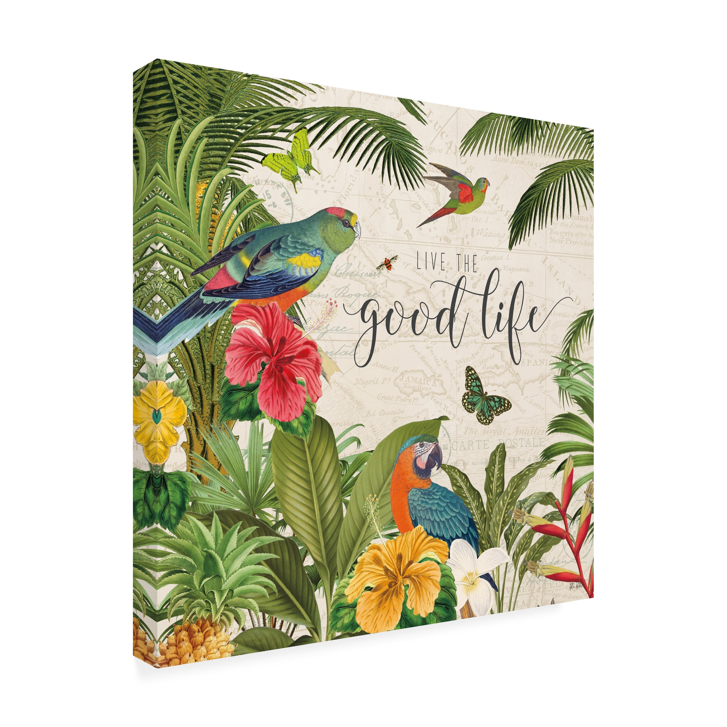 Katie Pertiet 'Parrot Paradise IV' Canvas Art