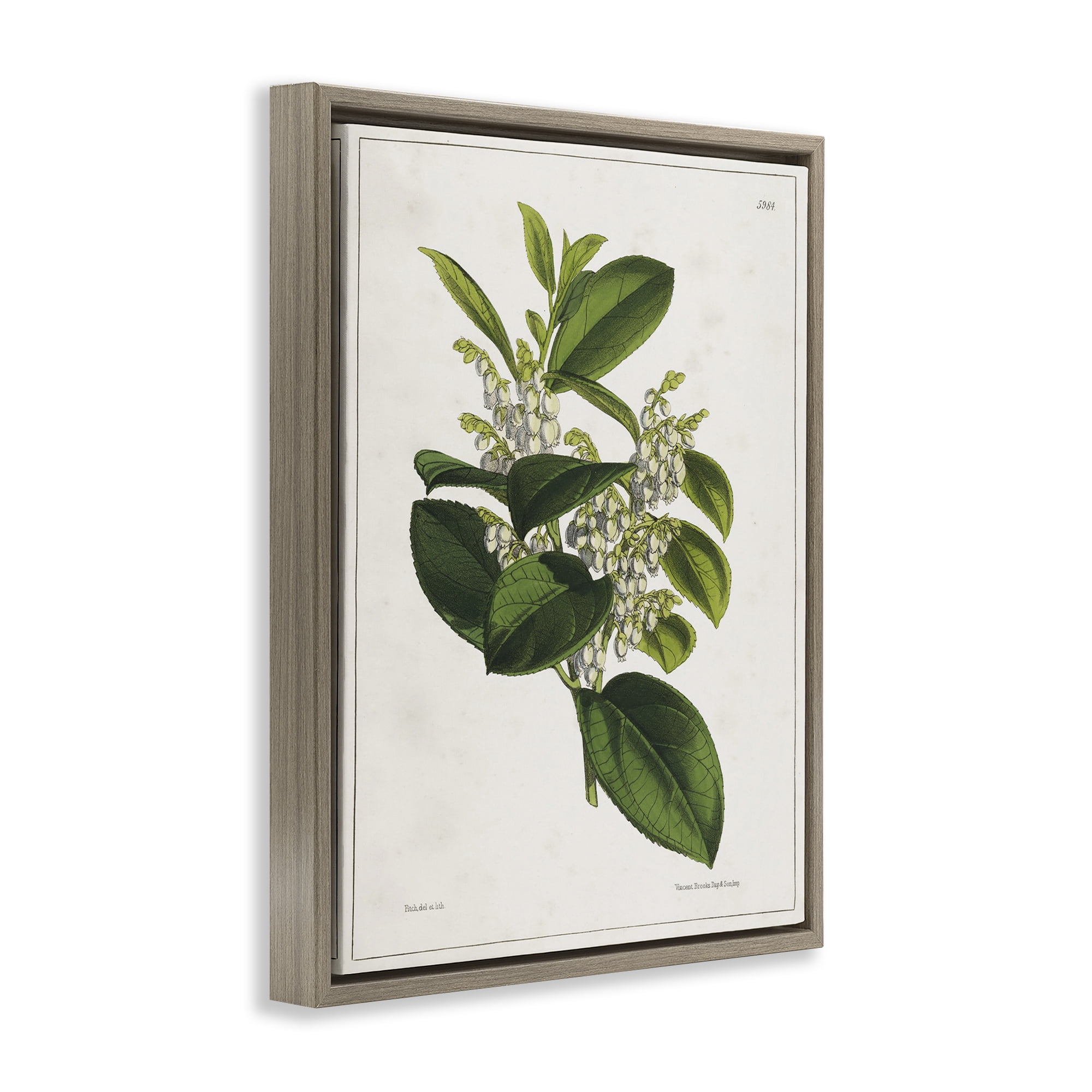 Stupell Industries Forest Nature Botanical Plants & Flowers Painting Brown Floater Framed Canvas Art Print Wall Art, 25 x 31