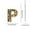 P, variant on HBBKVI 26 Letter Acrylic Keychain Pendant for Books