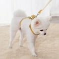 thumbnail image 2 of Reflective Dog Harness with No Pull Leash Padded Chest Strap for Small Medium Dogs 47 Inch Training Vest Outdoor Walking Gear, 2 of 7