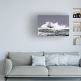 thumbnail image 2 of Milen Dobrev 'Advanced Surfing' Canvas Art, 2 of 4
