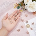thumbnail image 7 of 12PCS Star Brooch Pin Alloy Pentagram Brooches Rose Gold Rhinestone Badge Metal Brooch Pins for Dress Sweater Scarf Berets Bag Decorations, 7 of 7