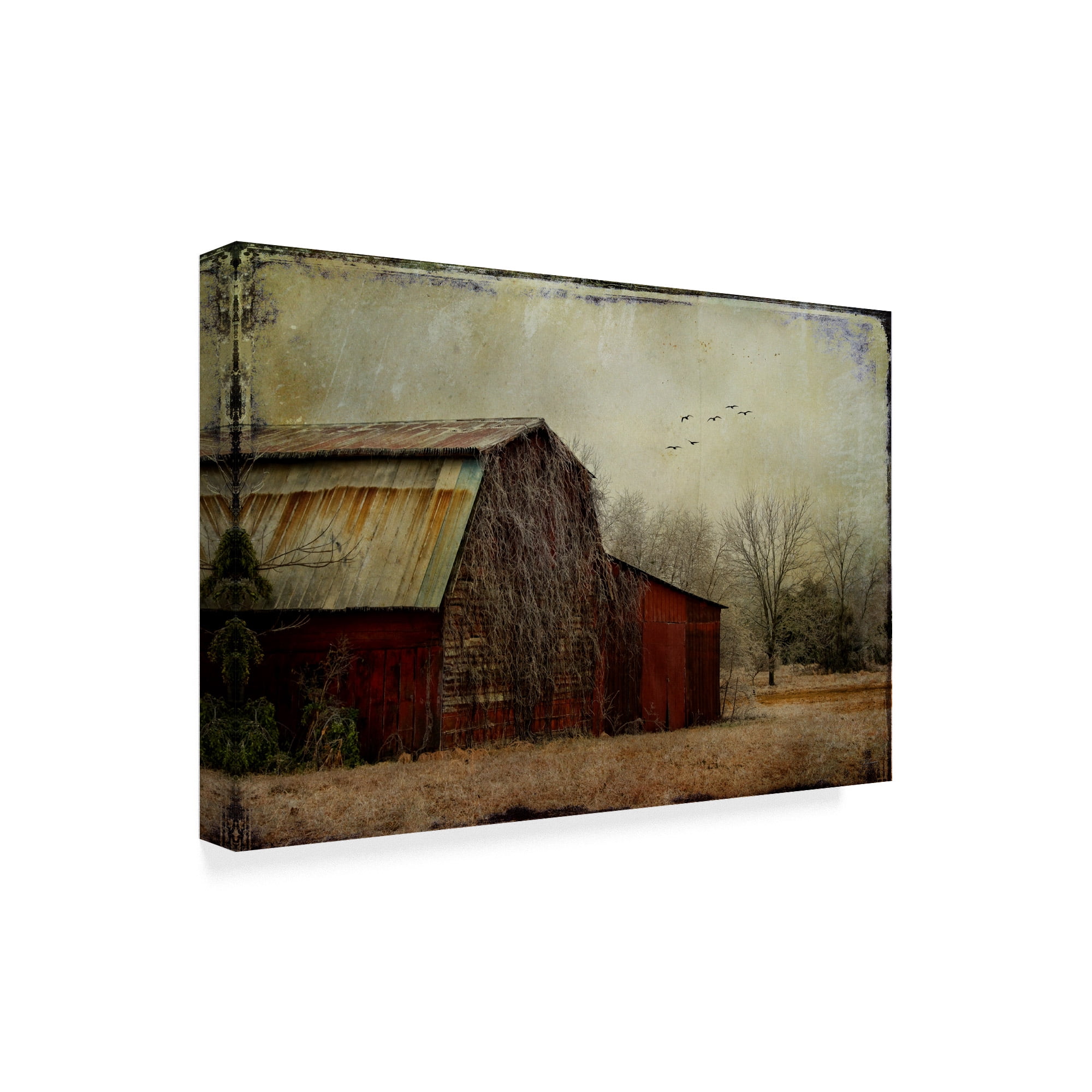 Trademark Fine Art 'The Red Barn' Canvas Art by Barbara Simmons
