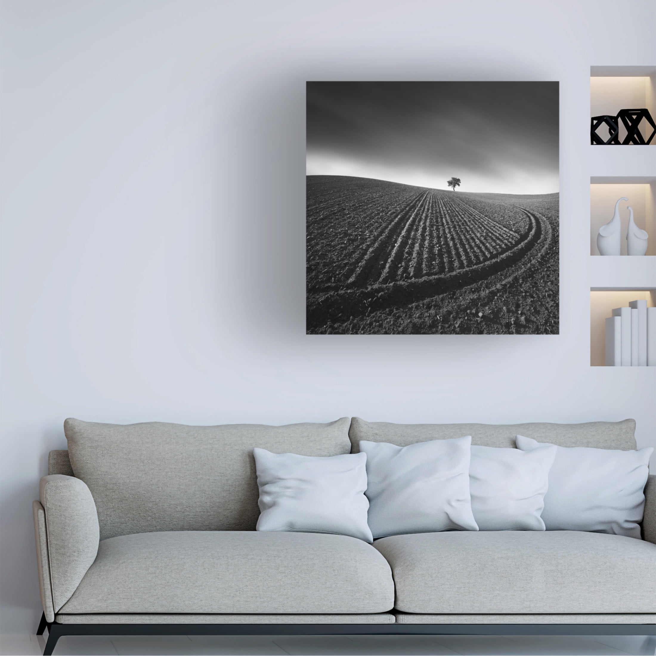 Trademark Fine Art Tomas Tison Radius Canvas Wall Art