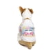 thumbnail image 2 of Playera para perro Gde Zatopet Combi, 2 of 3