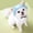 Blue, variant on Minzimin 1Pack Dog Hat with Ear Holes Sunscreen Baseball Caps Hats Outdoor Bucket Hat Sun Protection Dog Bonnet for Small and Medium-Sized Dogs