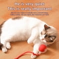 thumbnail image 2 of Pelota Rodante Interactiva para Gatos Super Drive, Pelotas Rodantes para Gatos con Sensor de Movimiento Activado por el Canto de los Pájaros, Juguete para Gatitos, 2 of 10