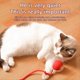 thumbnail image 2 of Pelota Rodante Interactiva para Gatos Super Drive, Pelotas Rodantes para Gatos con Sensor de Movimiento Activado por el Canto de los Pájaros, Juguete para Gatitos, 2 of 10