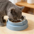 thumbnail image 6 of Blue Elevated Stainless Steel Pet Bowl With Cat Face Design For Digestion And Neck Protection Small Medium Dogs Cats, 6 of 6