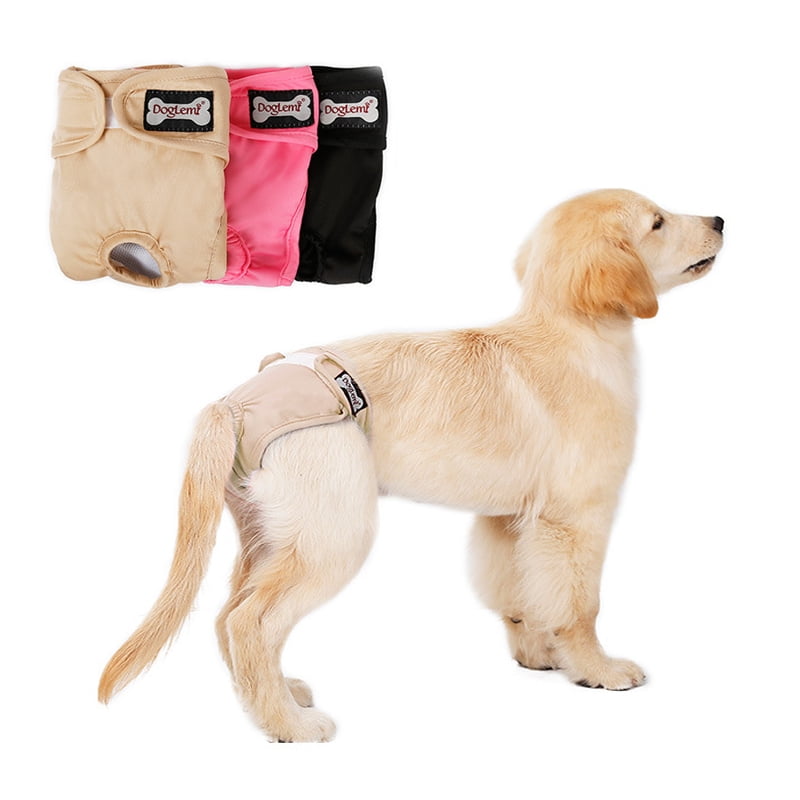 Can Boy Dogs Wear Diapers