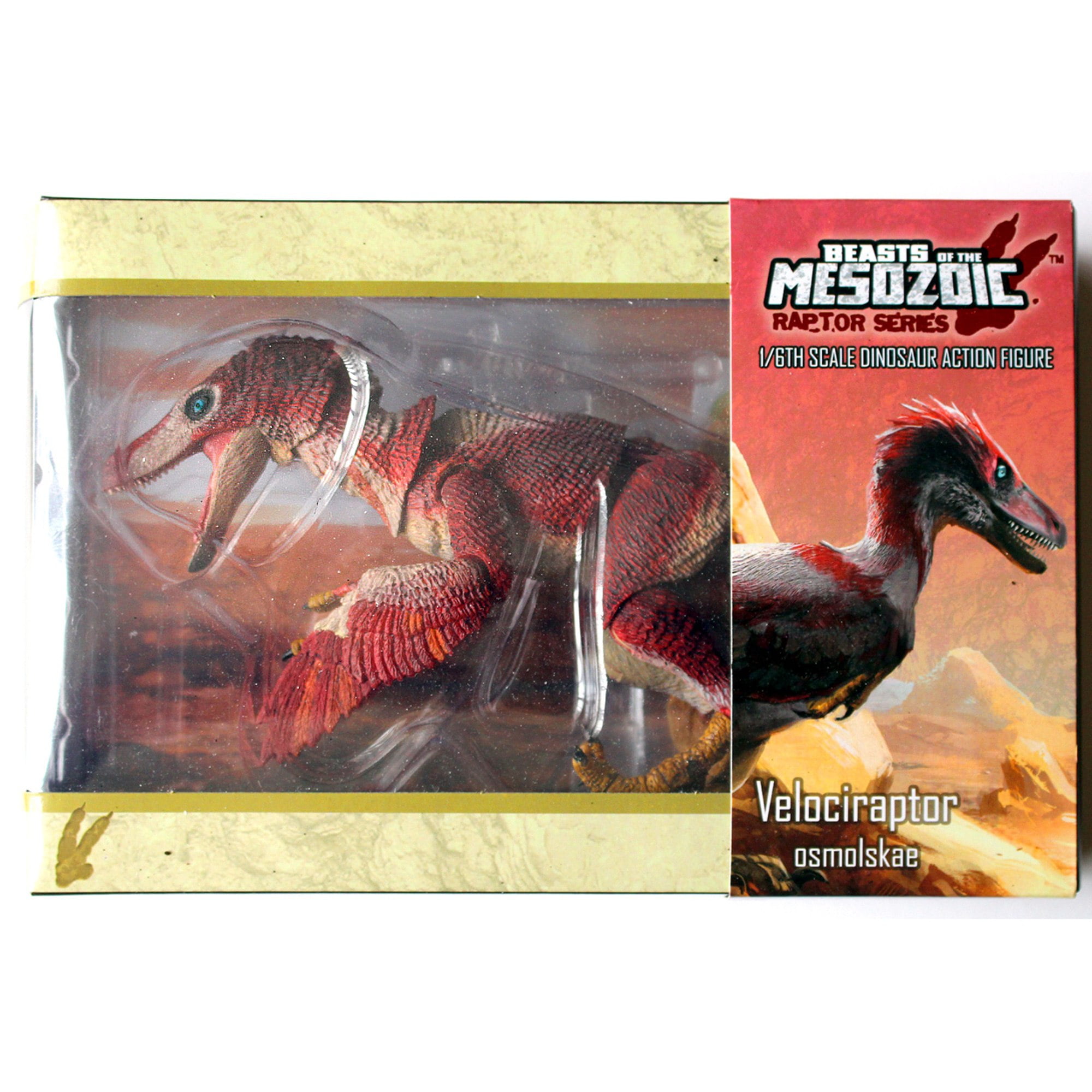 Beasts Of The Mesozoic: Velociraptor Osmolskae Version 2 Red - 1/6 Scale Dinosaur Action Figure -12" Articulated Collectible Miniature, Hand-Painted