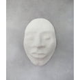 thumbnail image 4 of Material para Escultura Activa CelluClay Papel Maché Instantáneo 900 g, 4 of 4