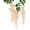 C, variant on Wisteria Flowers Long Branches Silk Flowers Indoor Living Room Hanging Flower Vines for Photo Decoration, Realistic & Versatile