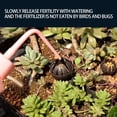 thumbnail image 5 of 10 Pieces Bonsai Fertilizer Box Automatic Planting Fertilizers Baskets Plastic Claw Shaped Fertilization Control Container, 5 of 5