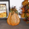 thumbnail image 4 of Metal Fall Pumpkin Decor Set of 2, Indoor Outdoor Standing Flat Pumpkin Decoration for Autumn Harvest Thanksgiving Halloween Decoration Home House Kitchen Decor, 4 of 14