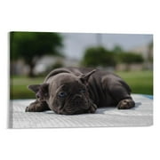 1 Panel Set Framed Canvas Wall Art Wall Decor, Dazed Dog Home Decor Horizontal Version Modern Decoration, Ready to Hang