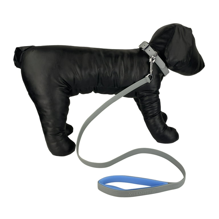 Vibrant life leash 2025