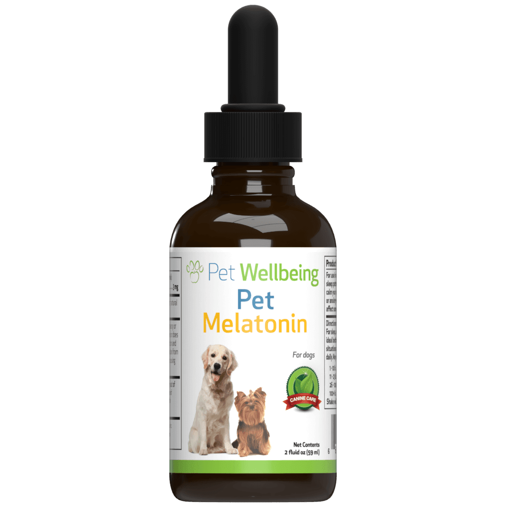12-can-dogs-have-gummy-melatonin-home