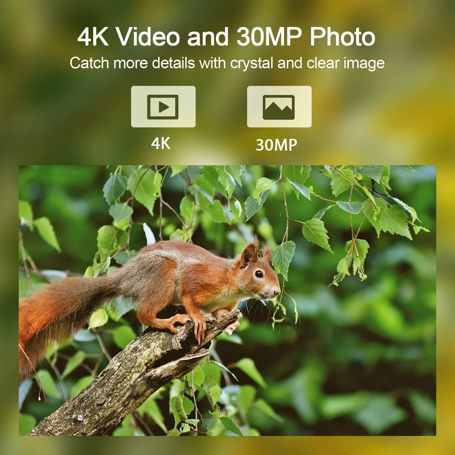 CAMPARK Trail Camera