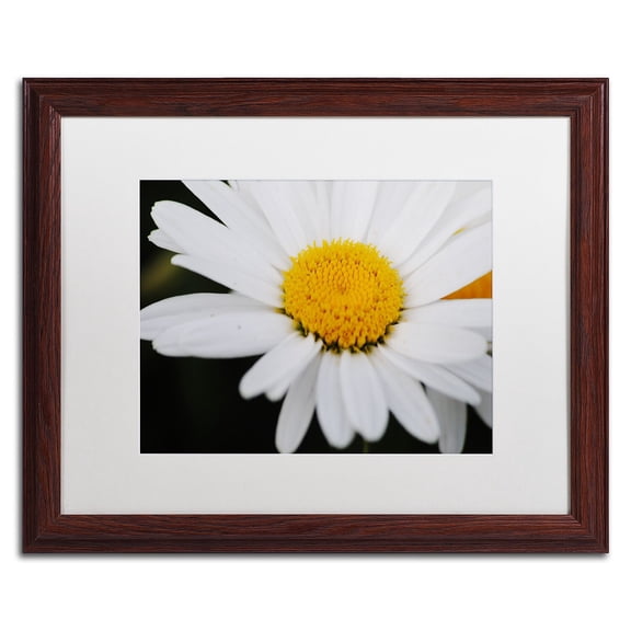 Trademark Fine Art "Sweet Splendor" Canvas Art by Monica Mize, White Matte, Wood Frame