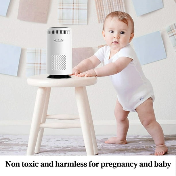Air purifier for pregnancy online