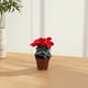 thumbnail image 5 of Planta de simulación Bonsái Flor decorativa de tela de seda Adorno de escritorio, 5 of 6