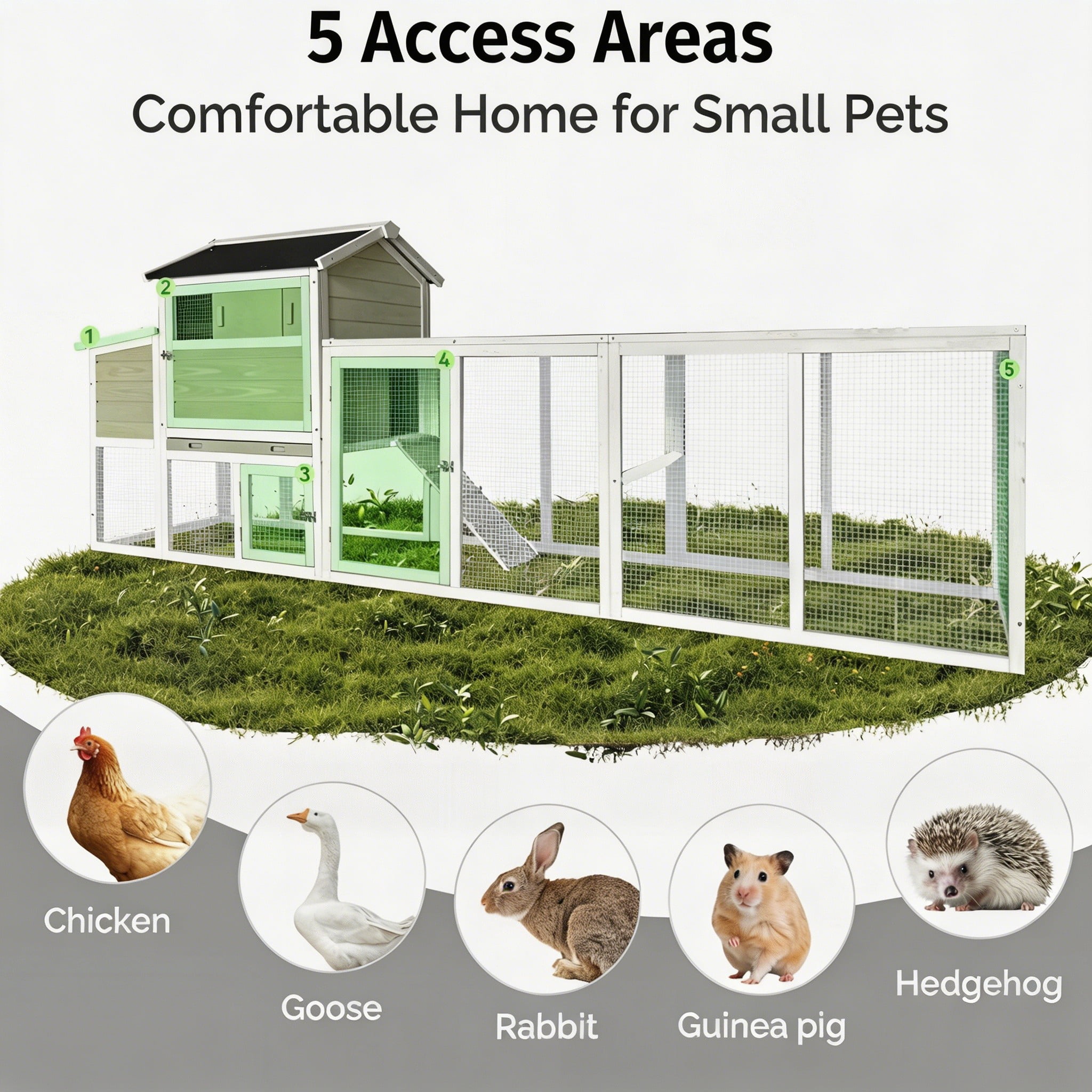 Backyard Chicken Coop with Nesting Box, Weather Resistant Wooden Hen House, Walk-In Run Options, Fits 2-6 Chickens, Green Coop with Run