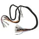 thumbnail image 4 of Arnés de cableado principal automotriz completo con conectores para vehículo HD3, 4 of 10