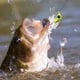 thumbnail image 1 of Cebo 25 unids/caja Swimbait Lentejuelas giratorias Señuelos artificiales Accesorios de pesca (3.6g), 1 of 8